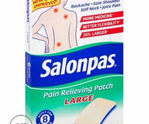 Salonpas Pain Relieving Patch - 6 patches
